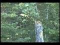 videos de 1996 July 21 Root Beer Target Shooting part 2