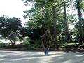 Physco Teen-Ghillie Scene 1