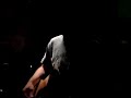 Pablo Dacal - Balada de un hombre alto Pablo Dacal - Balada de un hombre alto