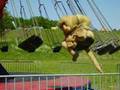 MyEVS in Belgium - Summer opening