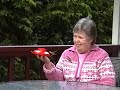 Hand Feeding Hummingbirds