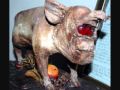 Wierd Animals And Unknown Creatures