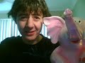 Name my big pink elephant!