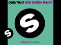 Quintino -You Know What (Original Mix)