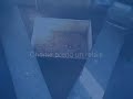 Webcam 2007 Faucon pèlerin Nancy