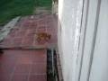 videos de Our Dogs