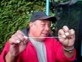 Compilatie Trektouwtjes