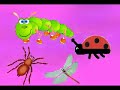 the-ugly-bug-ball.html