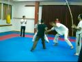 capoeira dimona