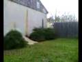 videos de backflip off the shak!