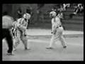 The best of taekwondo... View Video