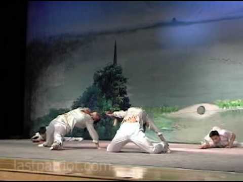 Zhejiang Wushu Team Group  Straight ...
