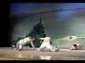 Zhejiang Wushu Team Group: Straight Sword