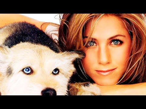 Facts About You And Your Dog's Personality