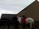 Jo doing a weird mount into the saddle, laughing fits Jo doing a weird mount into the saddle, laughing fits