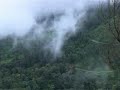 nilgiri