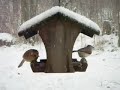 John's Bird Feeder