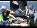 Norwegen fotos (Herbert Grönemeier-Alkohol)