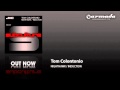 Tom Colontonio - Nighthawk (Original Mix) [SUBC007]