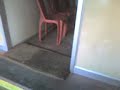 vava\