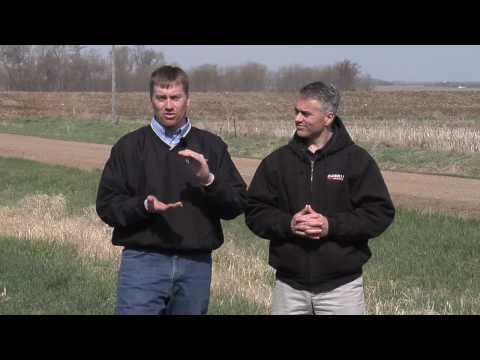 how to provide phosphorus to plants