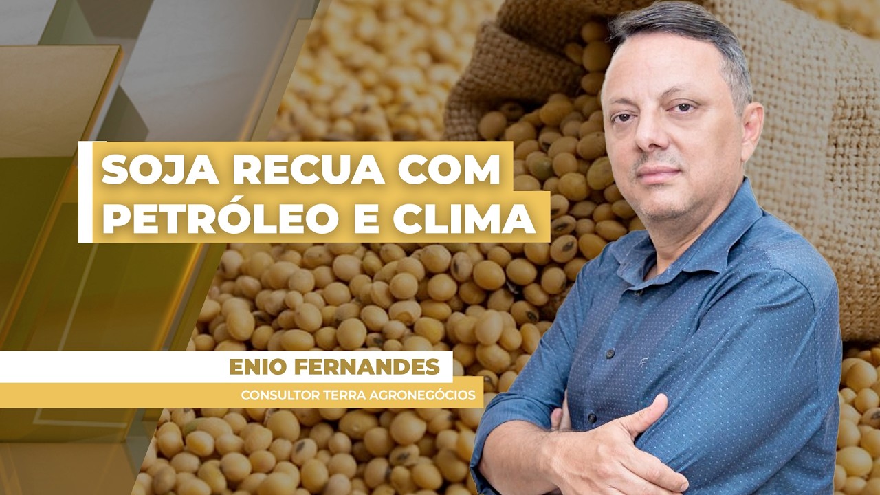 FECHAMENTO DE MERCADO DA SOJA - EDIÇÃO 22/06/2026