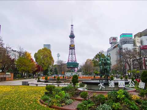 動画