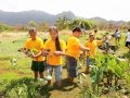 Remixing Hawaii's Public Schools