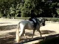 Coralie com seu garanhão, Querer Interagro.
