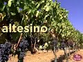 Two Tuscans