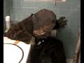Chewbacca takes a crap Chewbacca takes a crap
