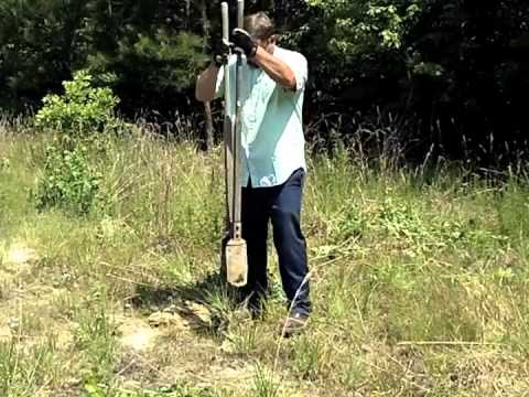 how to trellis a grape vine