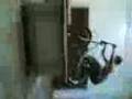 videos de carl hop