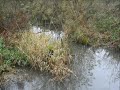 Pennington Flash Walk