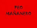TIPOS DE PEOS