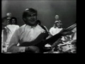 the hullaballoos live on tv in 1965, introduced by future ritz chip's spokesman, george hamilton