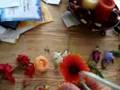 Botany Specimens