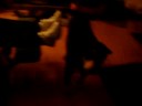 annoying dogs.