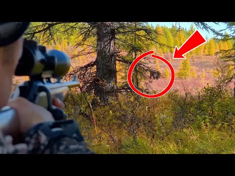 Охота на медведя на Камчатке