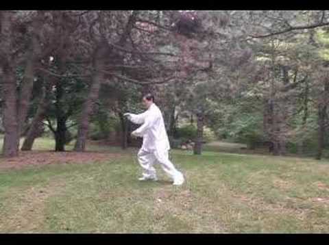 發勁发劲Yizungyue - Sifu Wei-Chung Lin (林維中), a disciple of the Yizungyue (易宗岳) School and the Chief Instructor of the Chinese Taoist Martial Arts Association ( http://ctmaa.com...