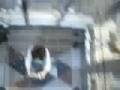 るり　独〜ドク〜　浪漫ノイローゼ　ruri