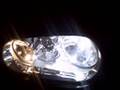 ZiZa Super White Bulbs