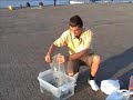 DBSTV 2: Gène waterzooi