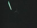 Drunk Jedi Master Alga