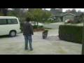 videos de Teddy Getting Newspaper 12/1/08