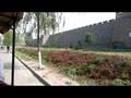 Wild ride in Pingyao
