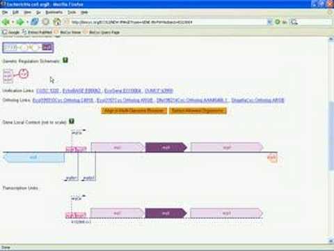 Introduction to BioCyc Part 4A