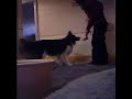 ball in bucket