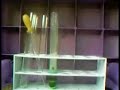 Sodium with copper chloride