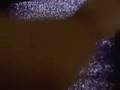  - MovieZen Video